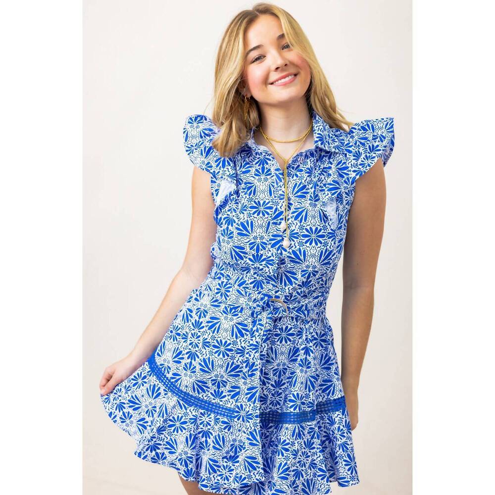 NEW SINCERELY OURS cara mini dress in ceramic bloom
